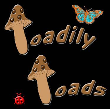 Toadily Toads logo